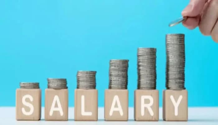 SightsIn Plus Article: How Skills-Based Rewards are Shaping India’s 2026 Salary Trends
