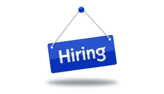 SightsIn Plus Article: Why the White-Collar Hiring Slump Ignores Soaring Tech Vacancies