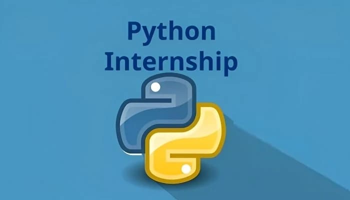 SightsIn Plus Article: Python Developer Internship, Stipend 25000/month
