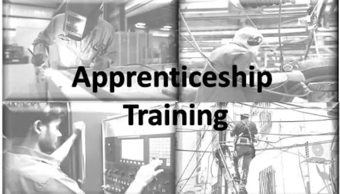 HR Insights: UP Skill Revolution , Apprentices Placed in FY - SightsIn Plus