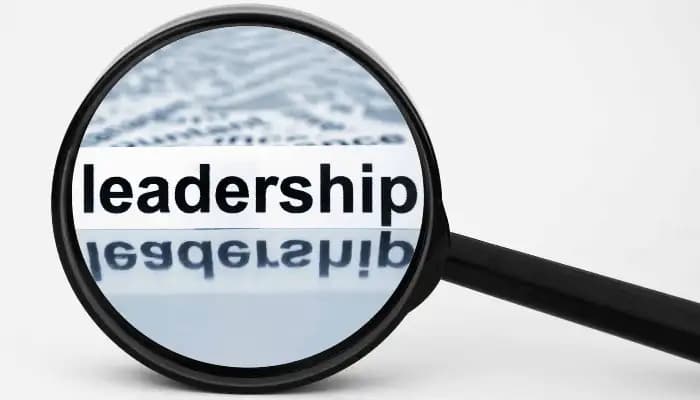 SightsIn Plus Article: Why Veteran CEOs are the Preferred Choice for Volatile Markets