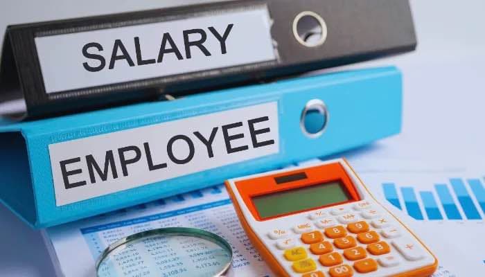 India Inc Salary Trends Which Sector is Winning the Hike War?