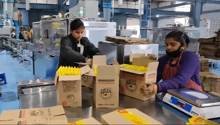 SightsIn Plus Article: RSPL Group Sets New Standards with Women-Led Workforce in Uttar Pradesh