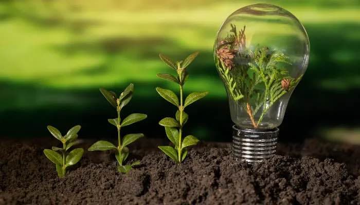 HR Insights: Forget Traditional Tech Why Green Entrepreneurship is the Future of Make in India - SightsIn Plus