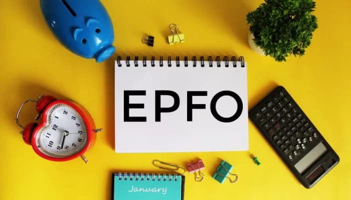 EPFO Member ID Not Showing? Easy Steps to Fix the Issue